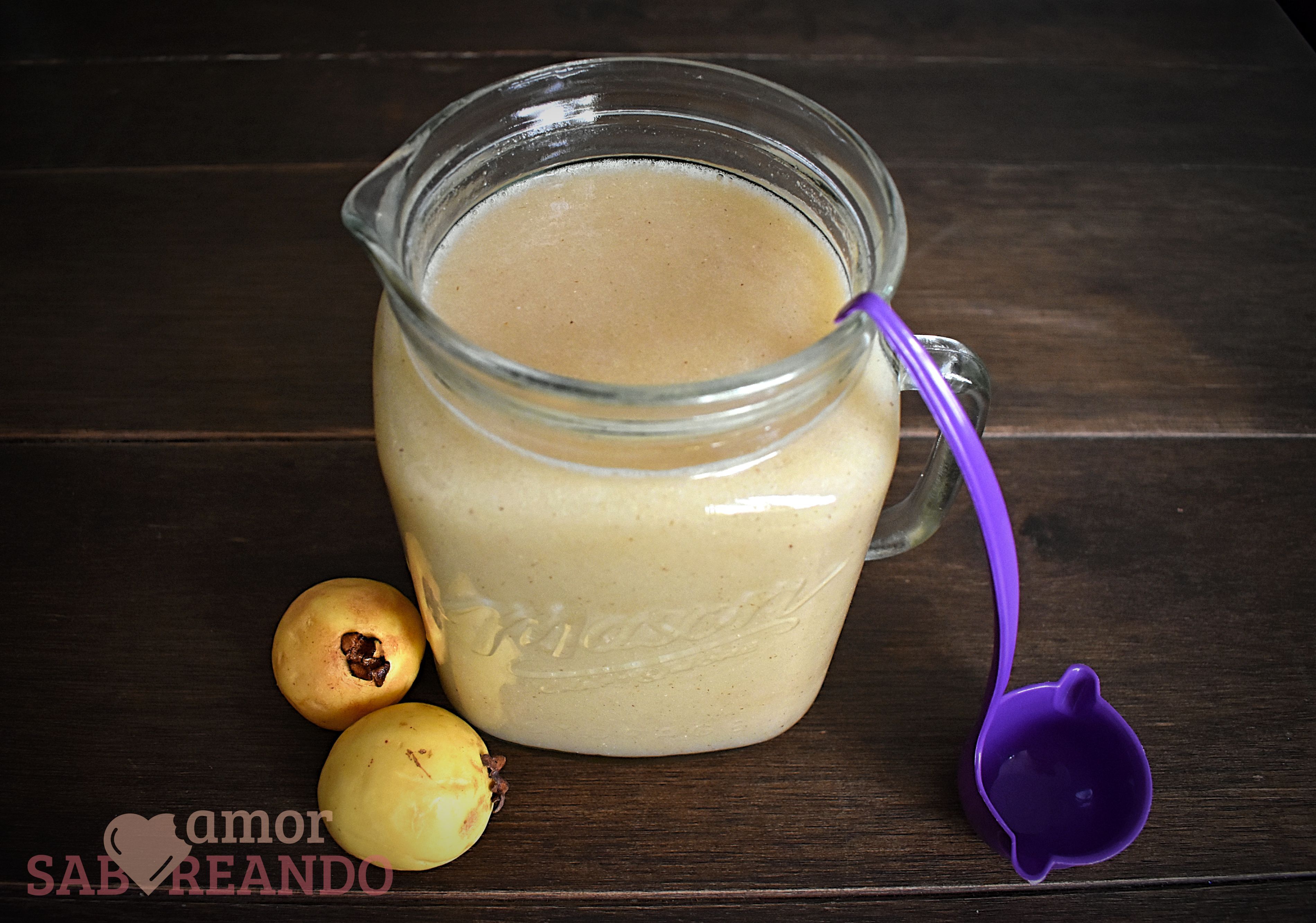 Imagen de Agua de semillas de guayaba