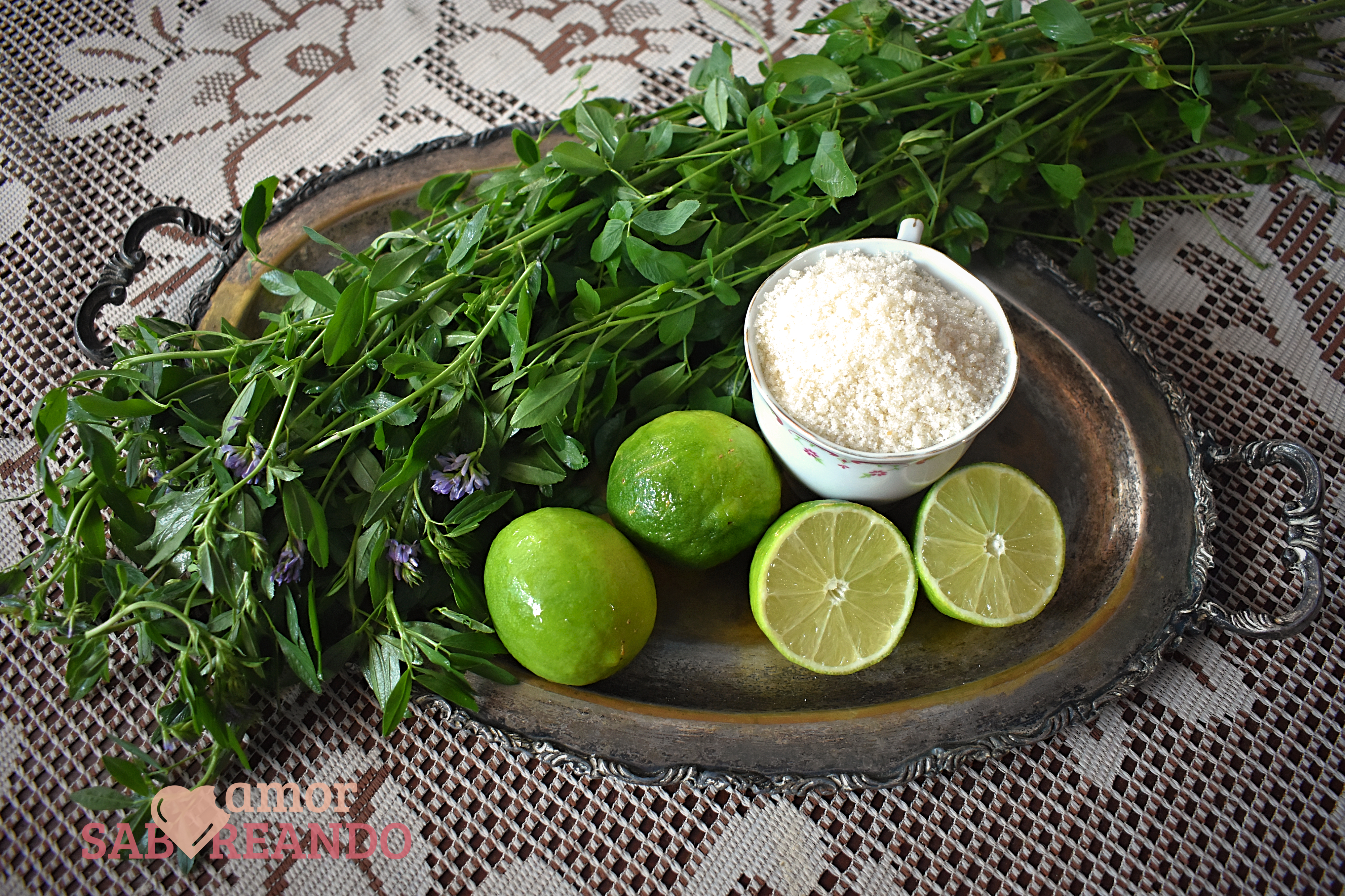 imagen de agua de alfalfa